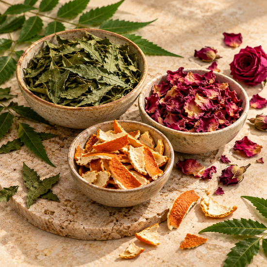 Skin Care Herbs — botanical category illustration