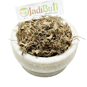 Natural Brahmi Mandukaparni dried leafy herb and thin stems in a stone bowl — Jadibuti Store