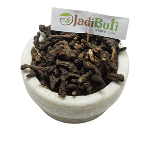 Nagarmotha dark brown dried rhizome material in a stone bowl — Jadibuti Store