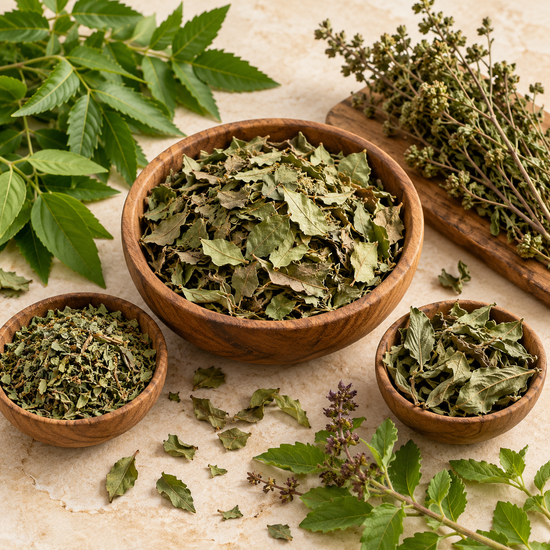 Leaves & Whole Herbs — botanical category illustration
