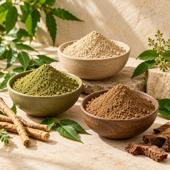 Herbal Powders — botanical category illustration