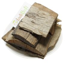 Agar - अगर - Eaglewood - Aquilaria agallocha Roxb