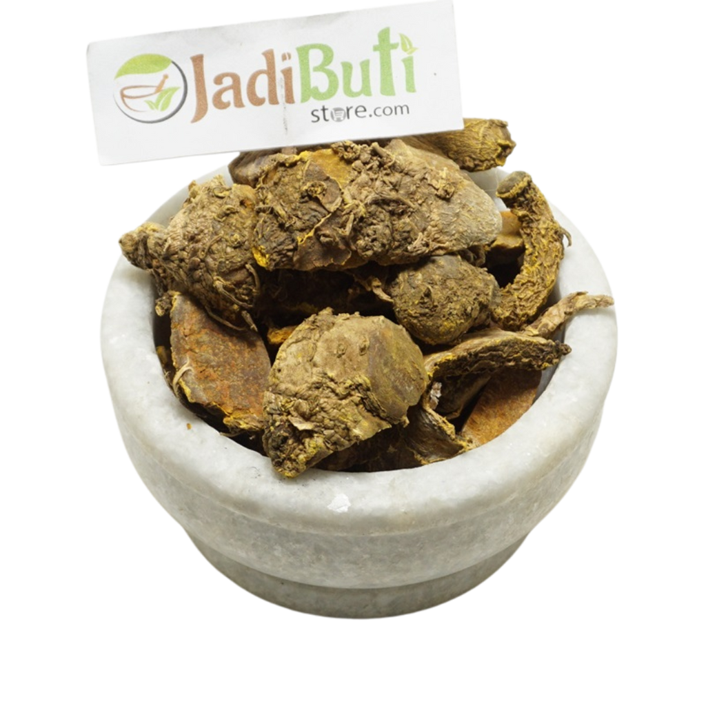 Amba Haldi rhizome / Mango Ginger (Curcuma amada) - Jadibuti Store