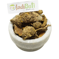 Amba Haldi rhizome / Mango Ginger (Curcuma amada) - Jadibuti Store