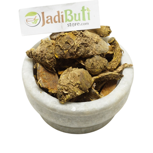Amba Haldi rhizome / Mango Ginger (Curcuma amada) - Jadibuti Store
