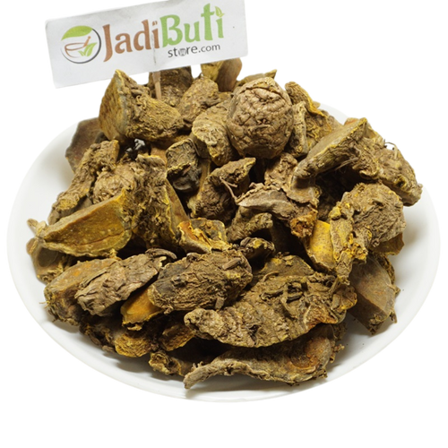 Amba Haldi (अम्बा हल्दी) Curcuma amada rhizome