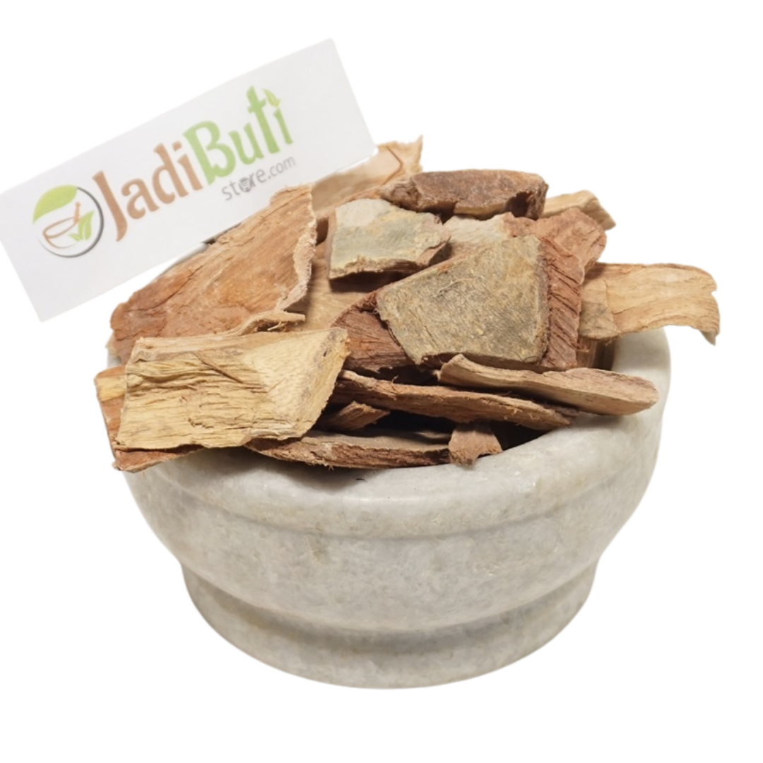 Arjun Chaal - अर्जुन छाल - Arjun Tree - Terminalia Arjuna – Jadibuti Store