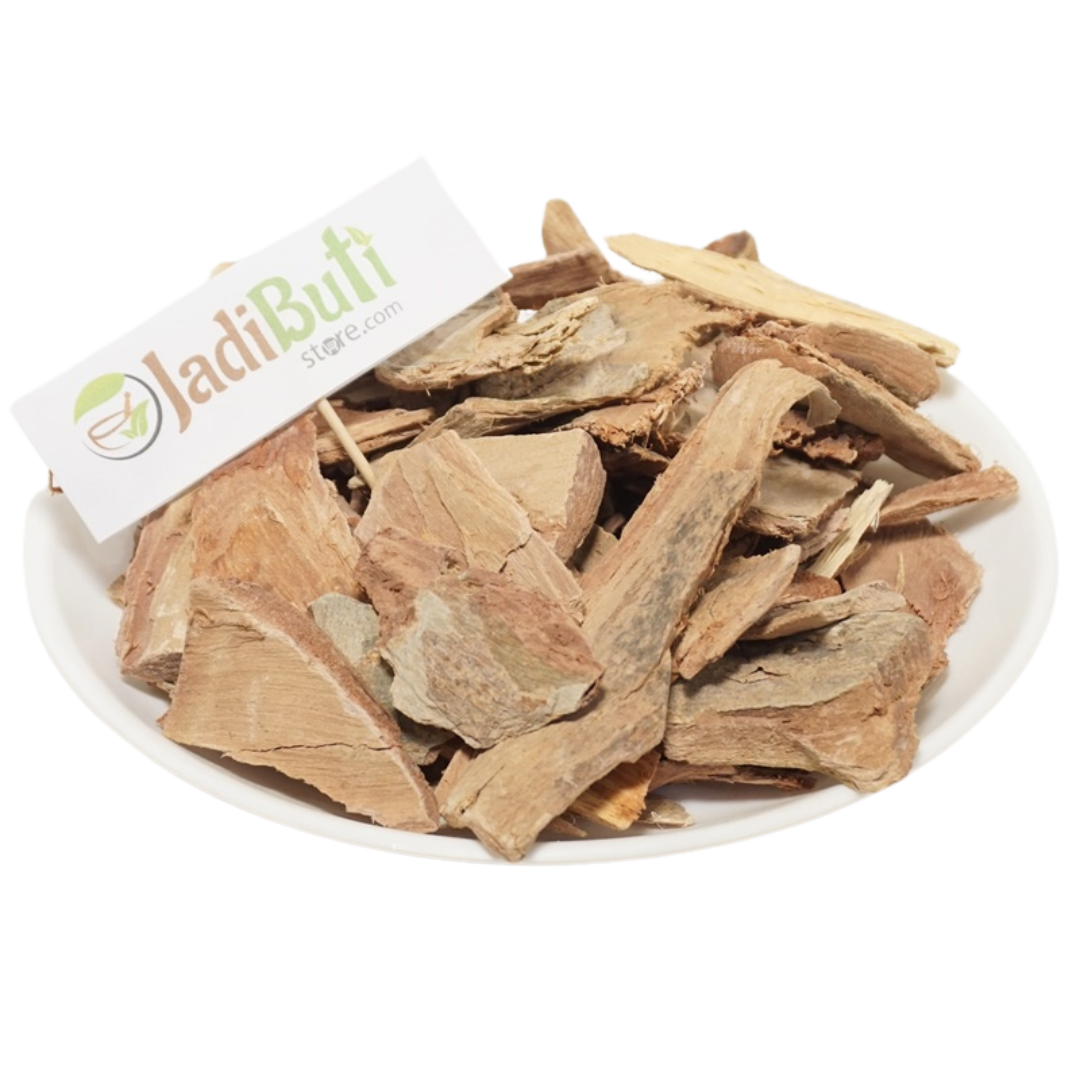 Arjun Chaal - अर्जुन छाल - Arjun Tree - Terminalia Arjuna – Jadibuti Store