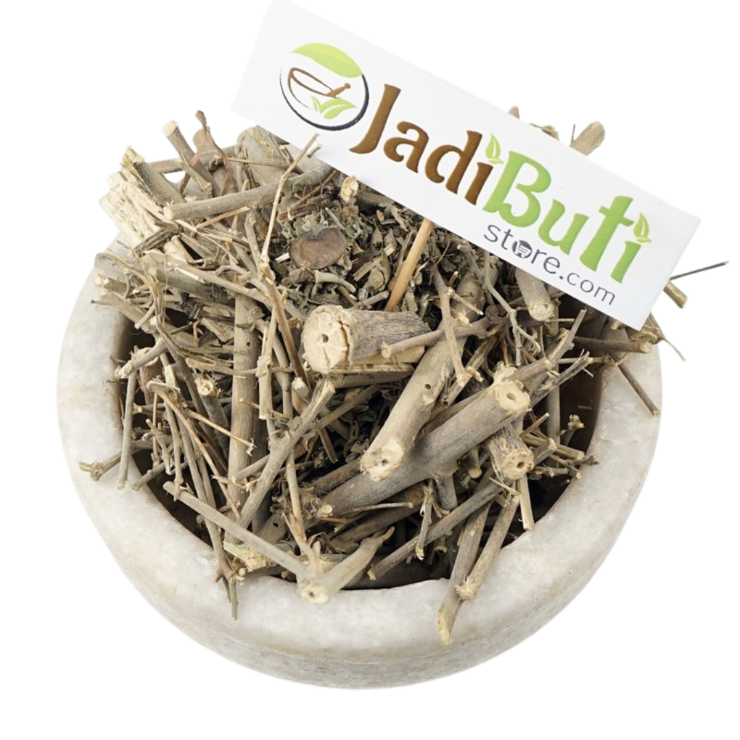 Atibala Panchang / Indian Mallow (Abutilon indicum) - Jadibuti Store