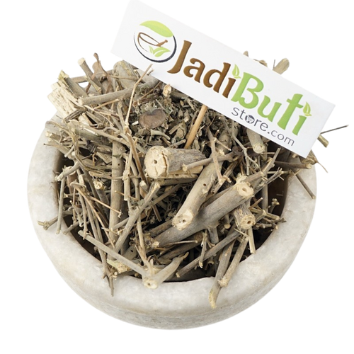 Atibala Panchang / Indian Mallow (Abutilon indicum) - Jadibuti Store
