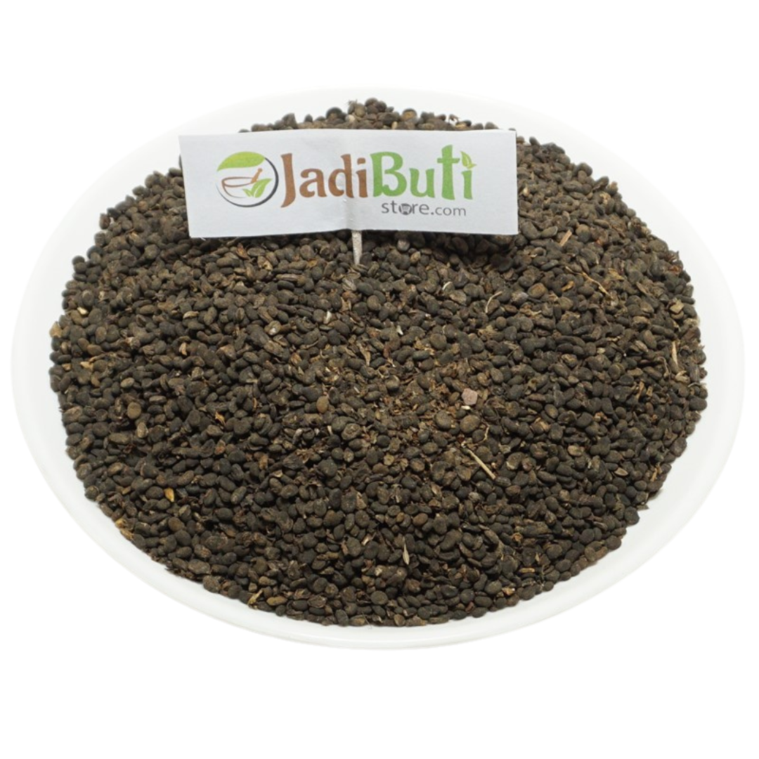 Babchi - बाबची - Purple Fleabane - Psoralea corylifolia Linn