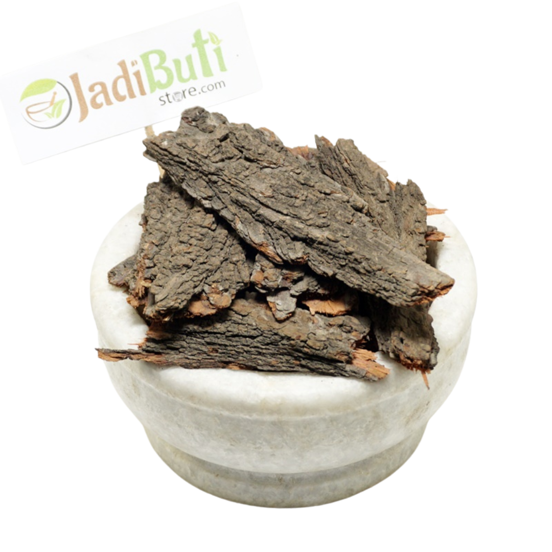 Babool (Kikar) ki chaal - कीकर की छाल - Babool Bark - Vachellia nilotica