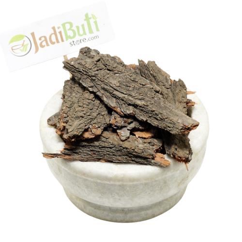 Babool Bark / Kikar Chaal (Vachellia nilotica) - Jadibuti Store