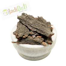 Babool (Kikar) ki chaal - कीकर की छाल - Babool Bark - Vachellia nilotica