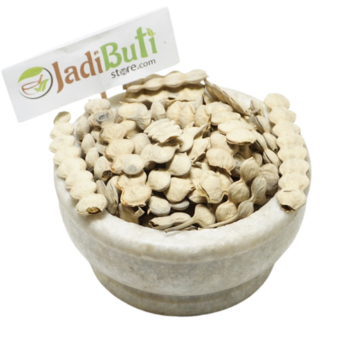 Babool Fali / Kikar pods (Vachellia nilotica) - Jadibuti Store