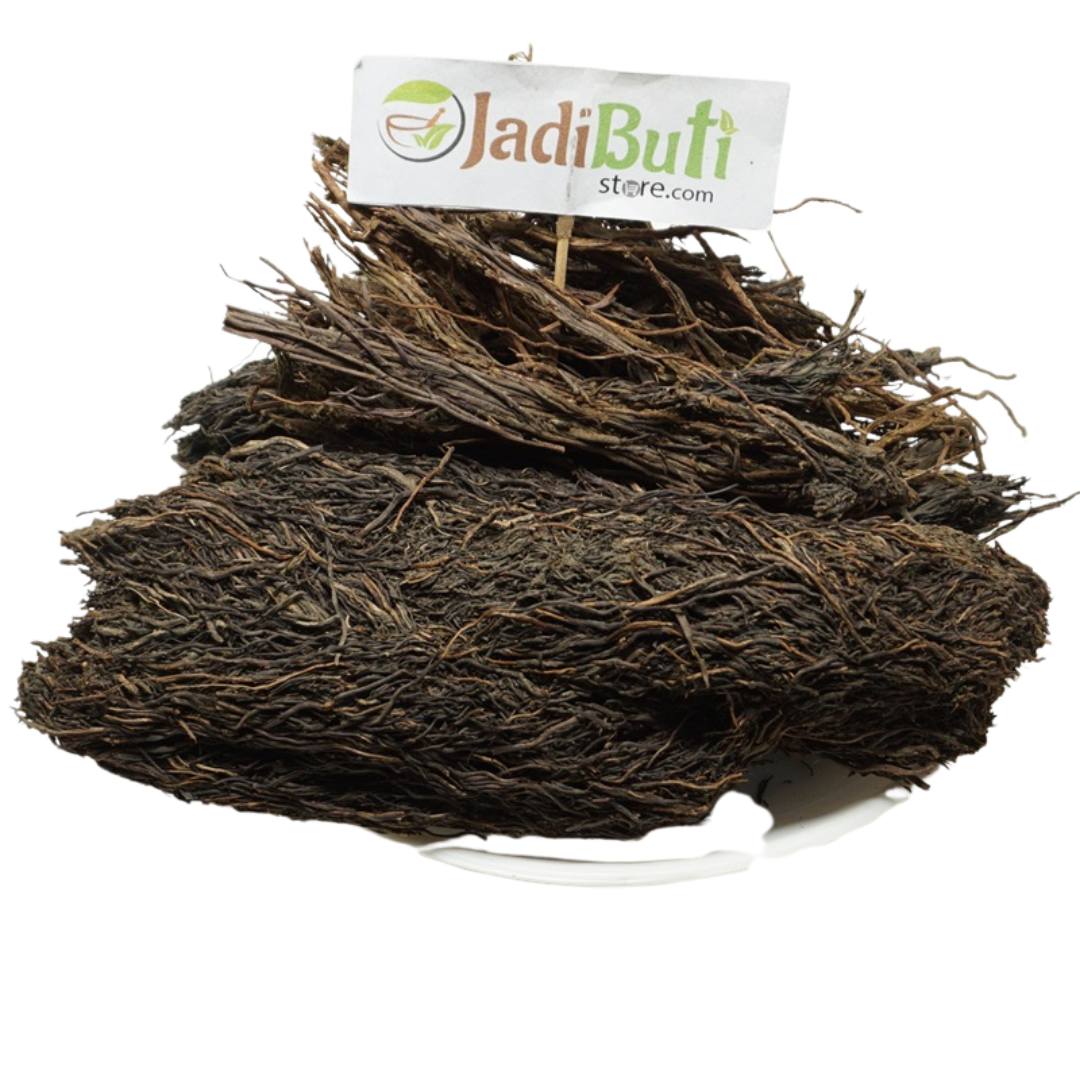 Bargad Jata / Badh Dadhi natural Banyan aerial root
