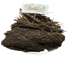 Badh dadhi ( Bargad ) - बड दाढ़ी - Banyan - Ficus Benghalensis