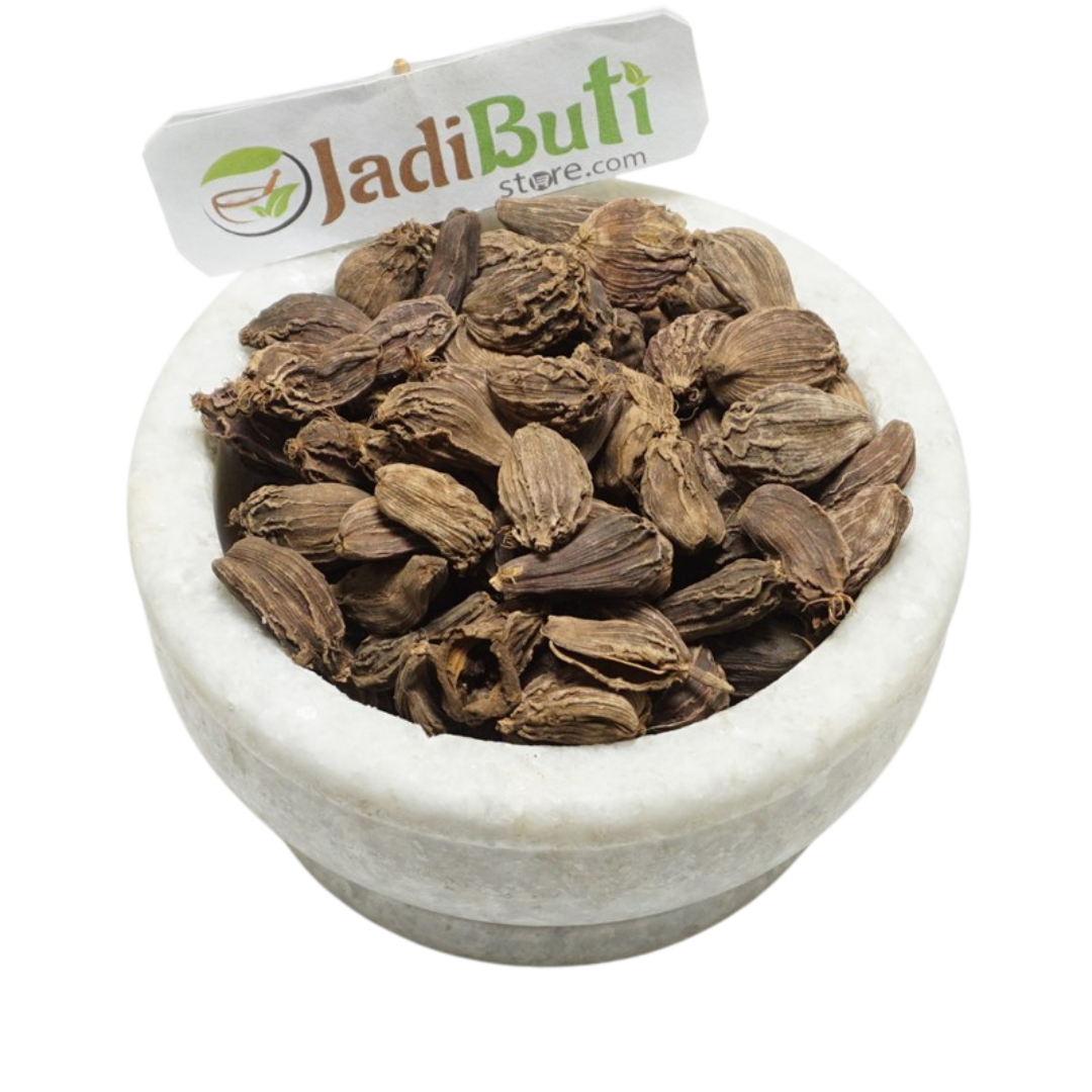 Badi Elaichi / Black Cardamom (Amomum subulatum) - Jadibuti Store