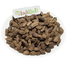 Badi Elaichi - बड़ी इलाइची - Black Cardamom - Amomum subulatum Roxb