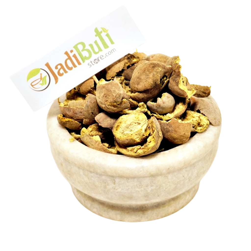 Baheda Chilka / Bibhitaki pericarp (Terminalia bellirica) - Jadibuti Store