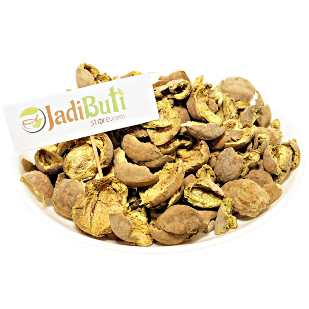 Baheda Chilka (बहेड़ा छिलका) fruit pericarp