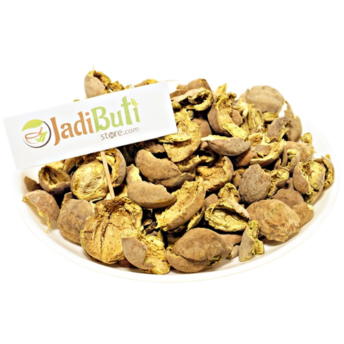 Baheda Chilka (बहेड़ा छिलका) fruit pericarp