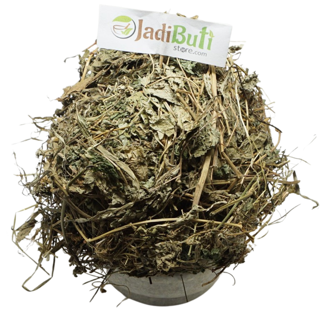 Banafsha Patta - बनफसा पत्ता - Sweet Violet - Viola odorata