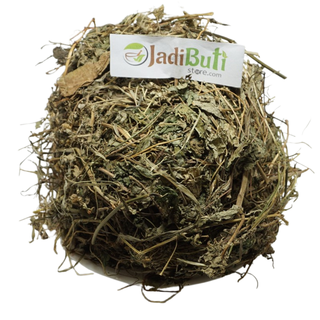 Banafsha Patta - बनफसा पत्ता - Sweet Violet - Viola odorata