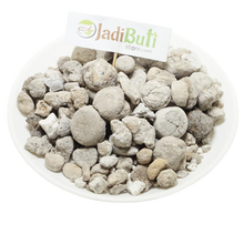 Banslochan pure - बंसलोचन असली - Tabasheer pure - Bambusa Arundinacea