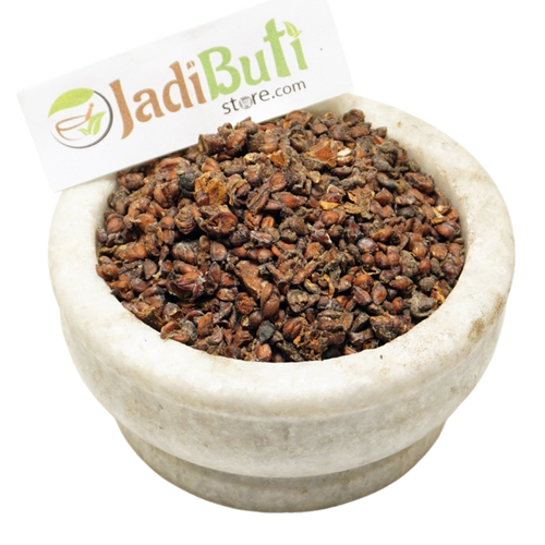 Bedana / Behidana quince seeds (Cydonia oblonga) - Jadibuti Store