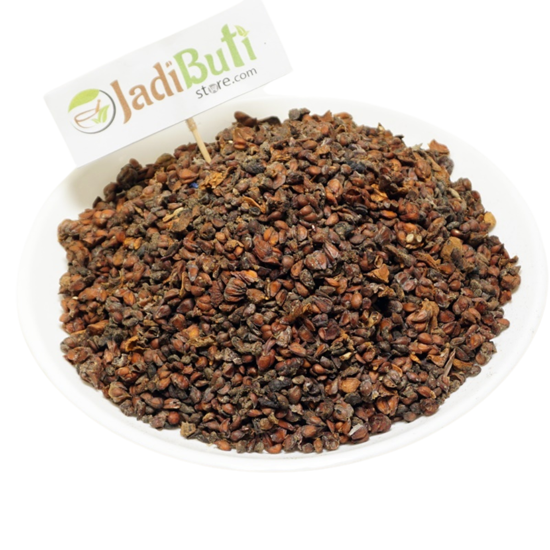 Bedana (बेदाना) natural quince seeds - Cydonia oblonga