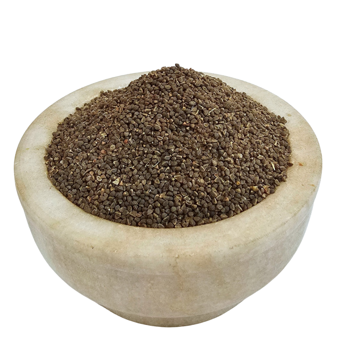 Beej Band / Bala Beej natural seed SKU - Jadibuti Store