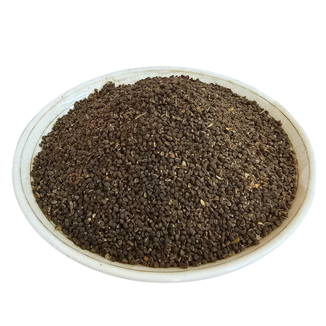 Beej Band (बीज बंद) current Sida cordifolia seed material