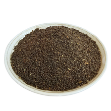 Beej Band - BALA BEEJ - Country mallow - Sida cordifolia