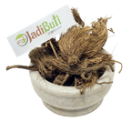 Bhoot Kesari / Beg Kharfas (Selinum vaginatum) - Jadibuti Store