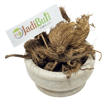 Beg Kharfas - Bhoot Kesari - Indian milk parsley - Selinum vaginatum
