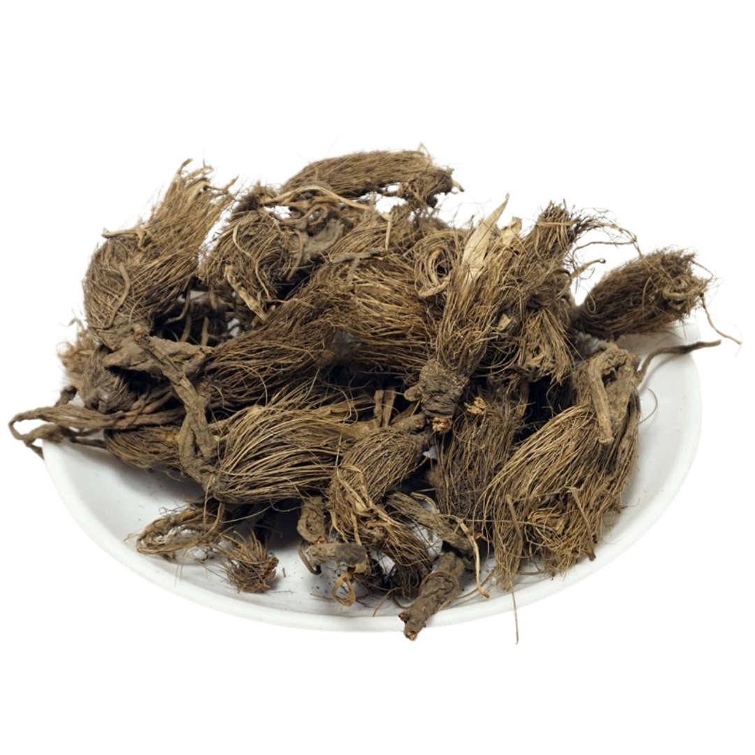 Beg Kharfas / Bhutkesi natural herb material - Selinum vaginatum