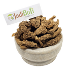 Bekh Sosan / Irsa rhizome (Iris × germanica) - Jadibuti Store