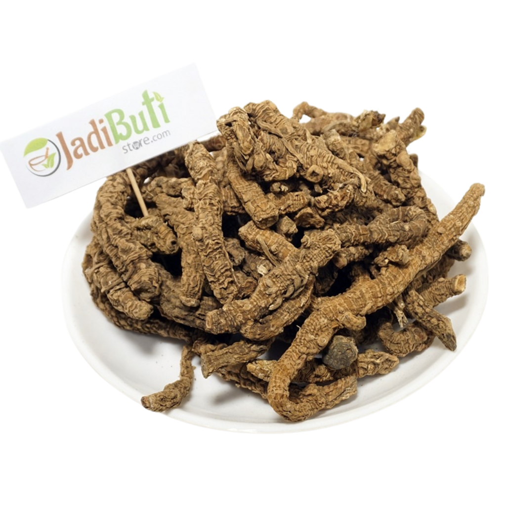 Bekh Sosan (बेख सोसन) natural orris rhizome material