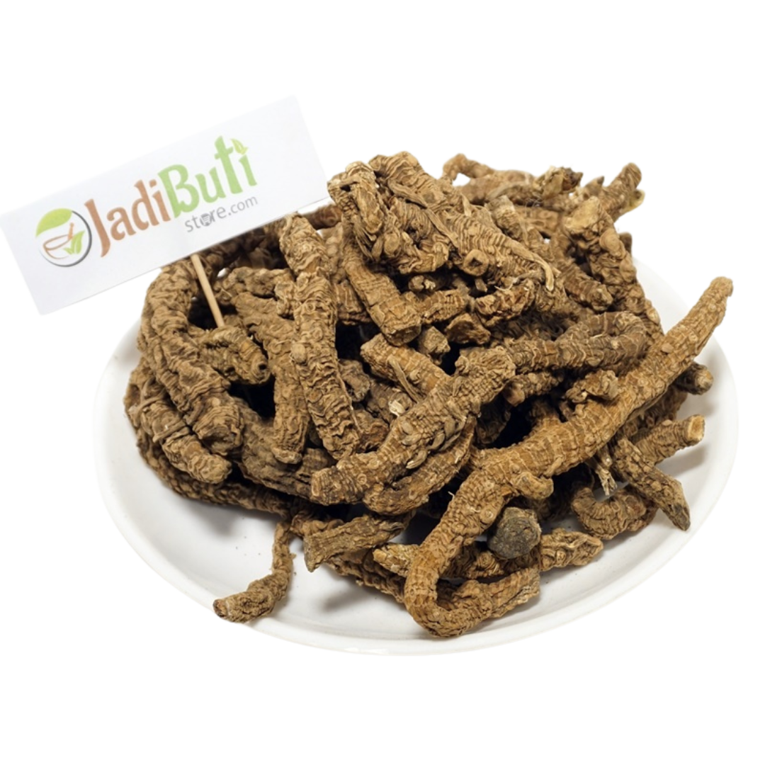 Bekh Sosan (बेख सोसन) natural orris rhizome material