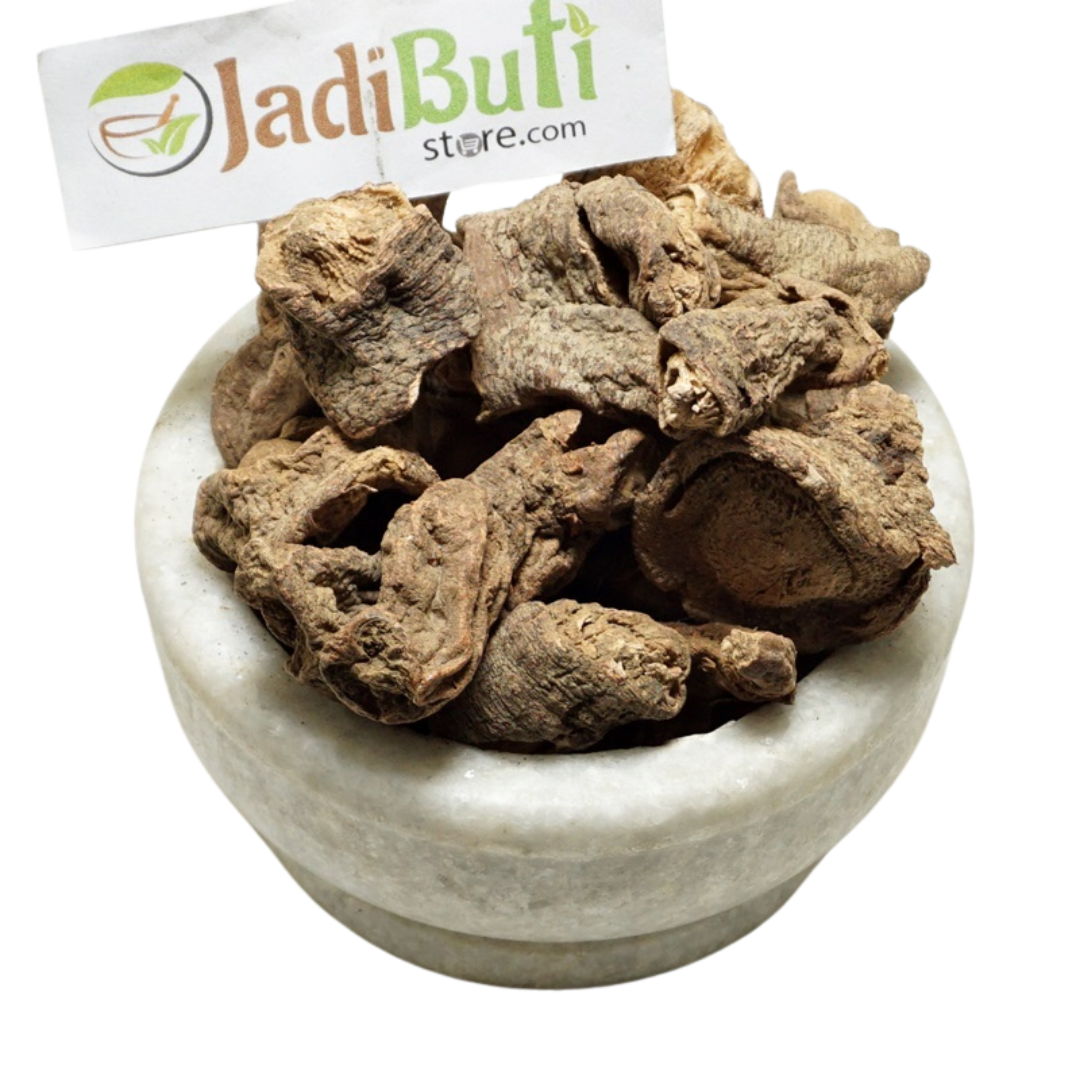 Behman Lal / Bahman Surkh root - Jadibuti Store