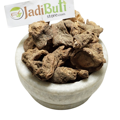 Behman Lal / Bahman Surkh root - Jadibuti Store