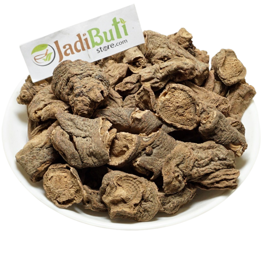 Behman Lal root, pharmacopoeial Salvia haematodes