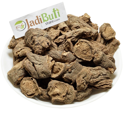 Behman Lal root, pharmacopoeial Salvia haematodes