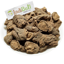 Behman Lal - बहमन लाल - Red Sage - Salvia haematodes Linn