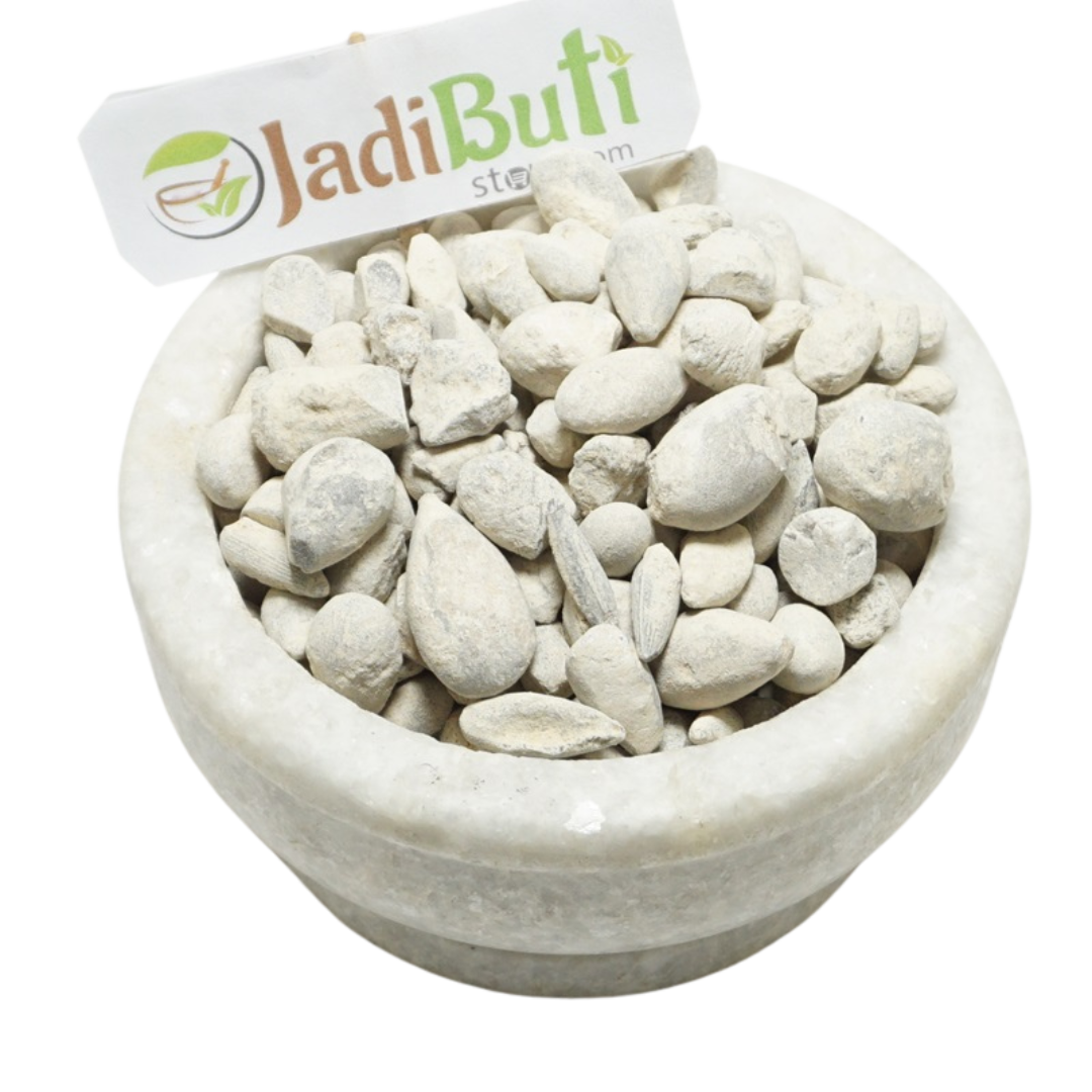 Ber Pathar - बेर पत्थर - Fossil Encrinite - Calcined Lime Silicate