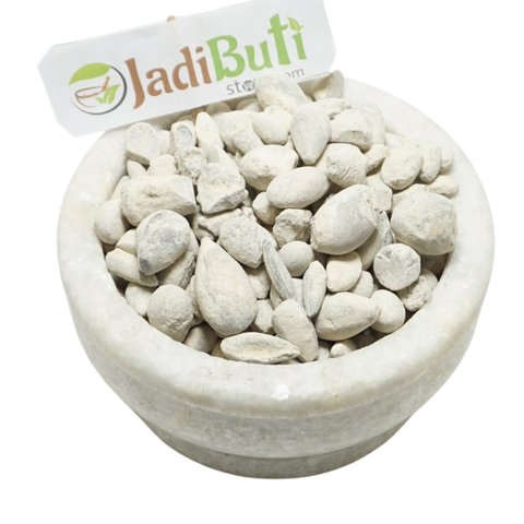Ber Pathar - बेर पत्थर - Fossil Encrinite - Calcined Lime Silicate