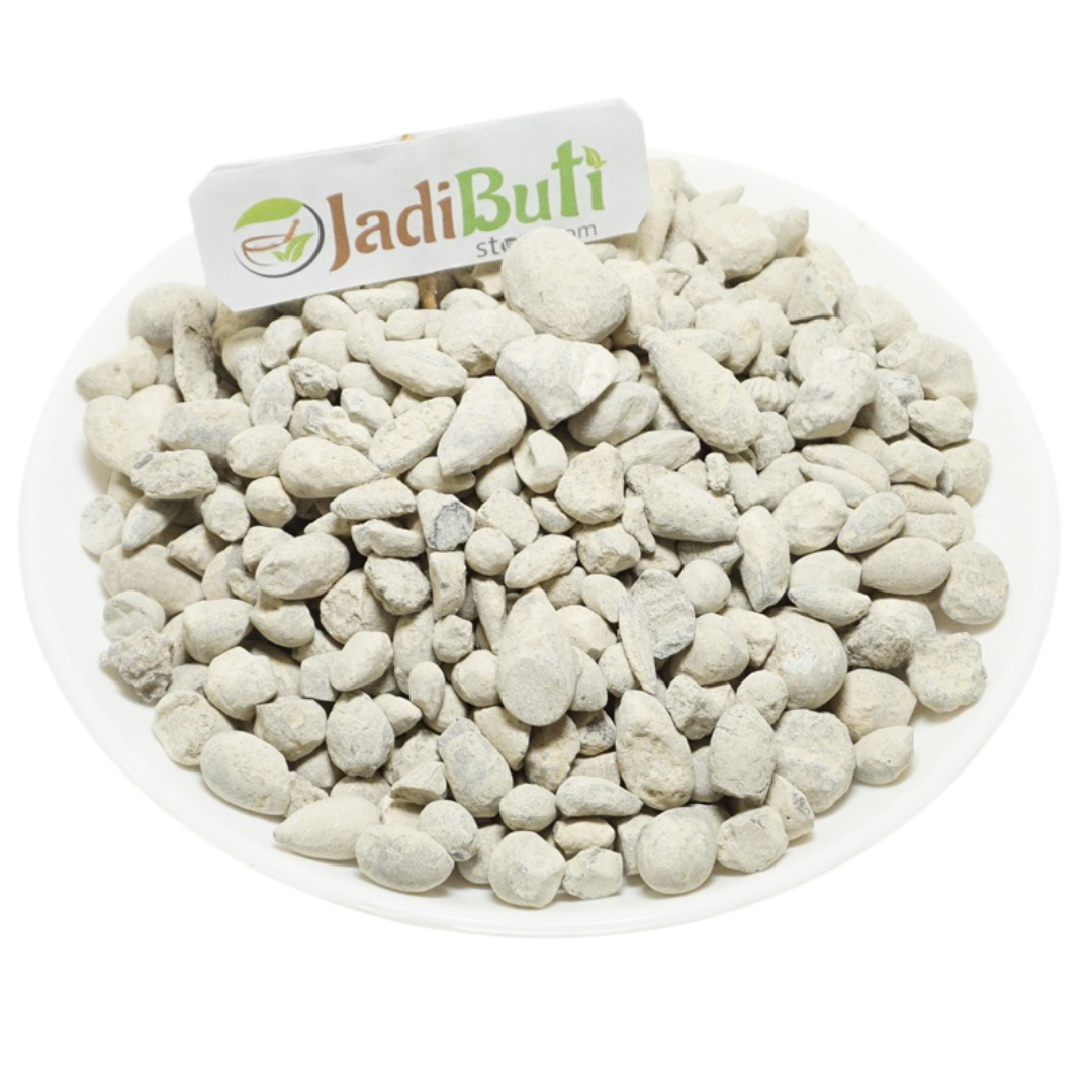 Ber Pathar - बेर पत्थर - Fossil Encrinite - Calcined Lime Silicate