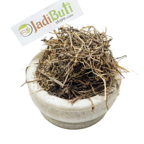 Bhangra (Bhringraj) - भांगरा - False daisy - Eclipta Alba