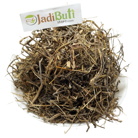 Bhangra (Bhringraj) - भांगरा - False daisy - Eclipta Alba